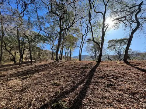 TERRENO EN LA MISION