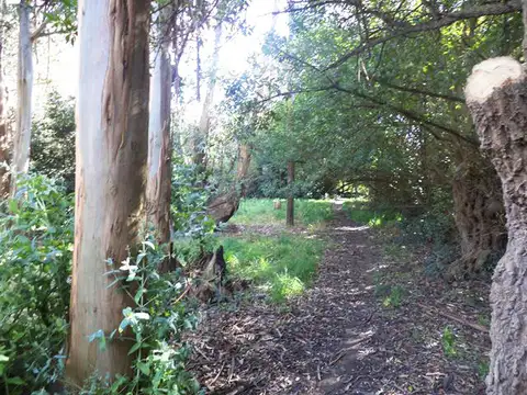 Casa Quinta en Venta Miramar, construida sobre un terrenos de 2800 m2 aprox.