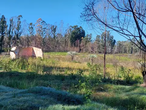 Lote - Venta - Argentina, CONCORDIA