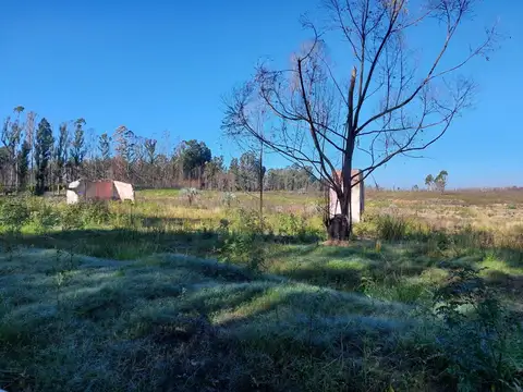 Terreno en Venta de 150000,0 m2