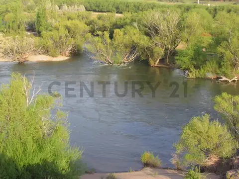 VENTA CAMPO 4 HECTAREAS C/2 RIOS en ALUMIÉ-SAN MARTIN DE LOS ANDES