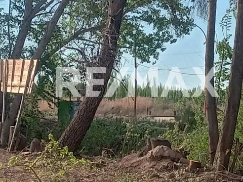 RUTA 151 Y LAS MARGARITAS