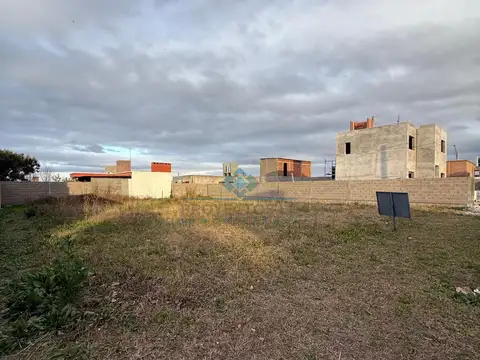 campos del rio 80