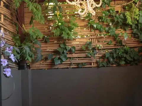 Dr Jose Ingenieros 400, Piso 1