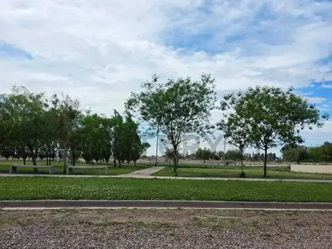 VENTA LOTE- B°EL BOSQUE- MAIPÚ, MENDOZA. ID: 226996