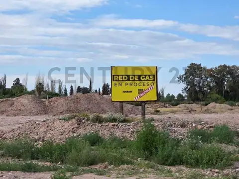 Terreno en Alquiler en Rodeo de la Cruz, USD 14.000
