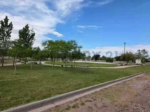Terreno en Alquiler 31  mts Fondo