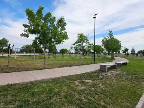 Terreno en Alquiler de 311,0 m2