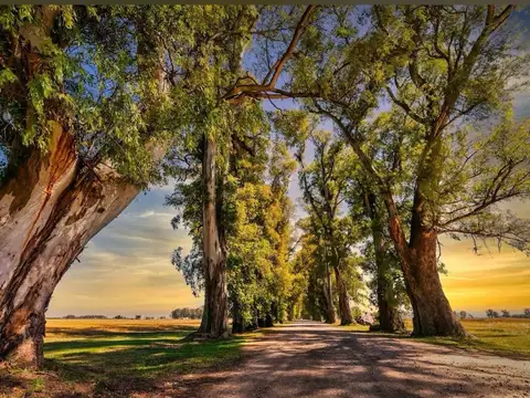 Terreno en Venta de 1100,0 m2