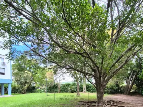 Departamento en Alquiler de 3 dormitorios