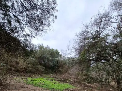 Terreno en Venta de 1934,0 m2