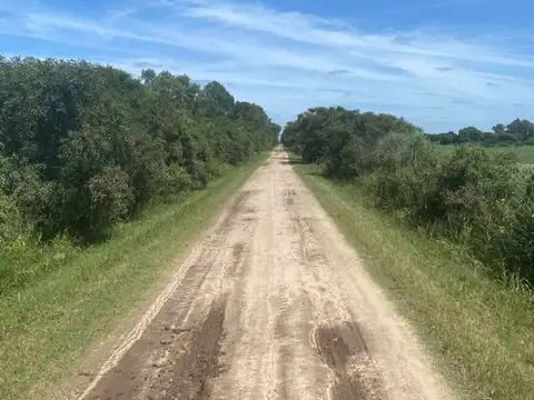 Venta de terreno. Monte Vera