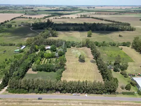 CAMPO EN ZARATE SOBRE RUTA 100