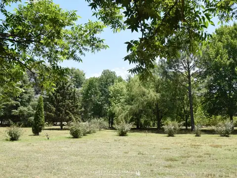 CAMPO EN ZARATE SOBRE RUTA 100