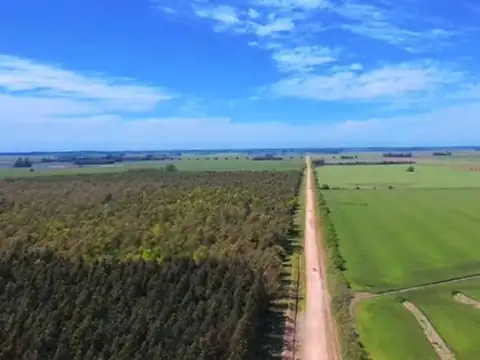 Terreno en Venta en Ramallo, USD 85.000