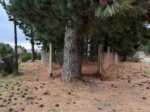 Terrenos y Lotes en Venta en San Carlos De Bariloche [Cod: ]