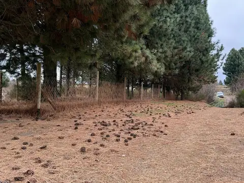 Terrenos y Lotes en Venta en San Carlos de Bariloche [Cod: ]