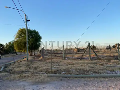 Alfonso XIII , Piso 0