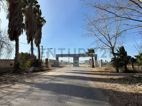 Alfonso XIII , Piso 0