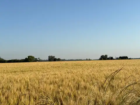 Campo en Venta de 10  ha