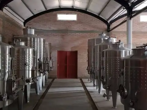 Bodega viñedos y campo en Los Altares, Chubut.