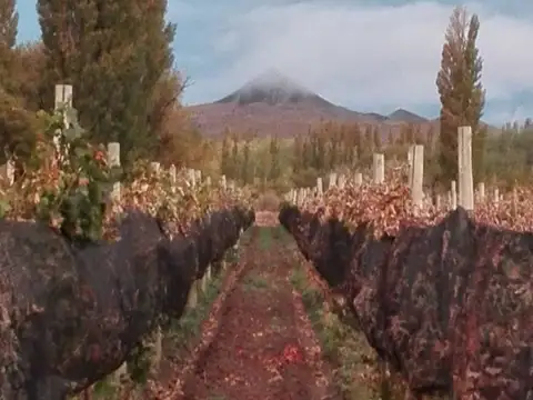 Campo en Venta Mixto