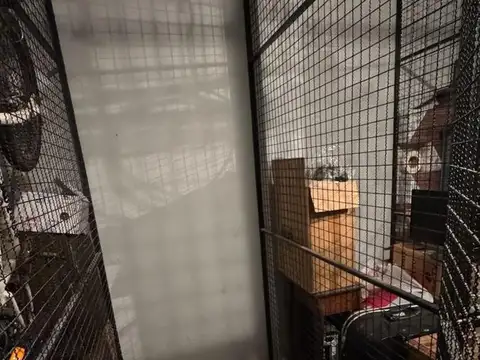 Departamento Monoambiente en alquiler - 1 Baño - Belgrano