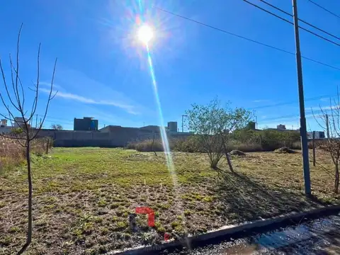 Nueva Esperanza 150, Argüello Norte
