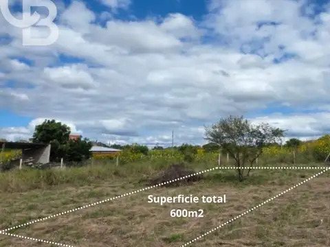 Terreno en Venta 37  mts Fondo