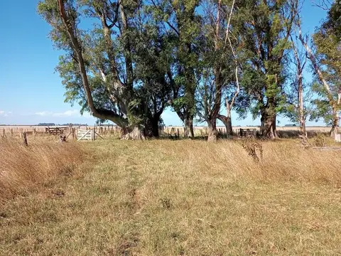 En Partido de Rauch a 15 Km de Ruta Nº3 y 230 Km de CABA