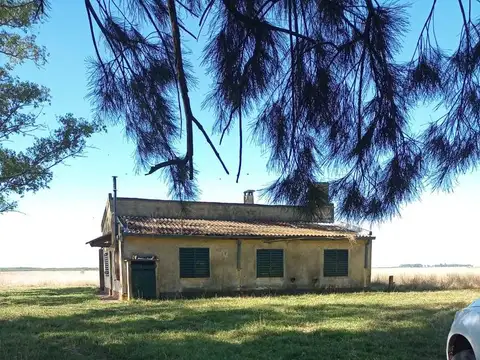 En Partido de Rauch a 15 Km de Ruta Nº3 y 230 Km de CABA