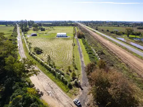 Chacra en venta - Las Juntas - Altos de Areco