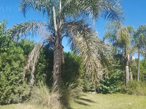 Terreno en Venta de 730,0 m2