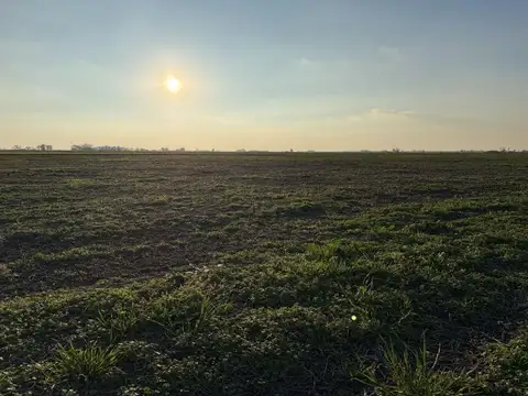 Campo en Totoras