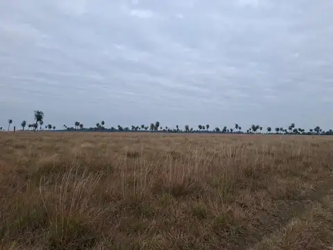 9000ha en Santa Rosa, Corrientes