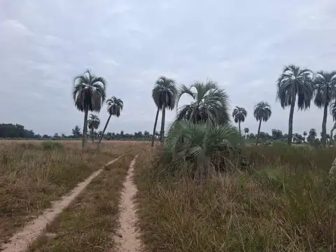 9000ha en Santa Rosa, Corrientes