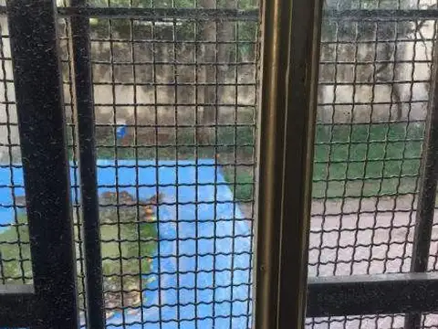 OPORTUNIDAD! CASONA APTA CONSTRUCCION EDIFICIO EN ALTURA