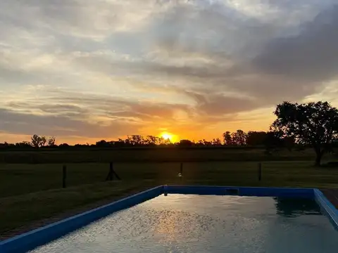 Campo Mixto de 20 ha con 4 casas en General Madariaga, Provincia de Buenos Aires.