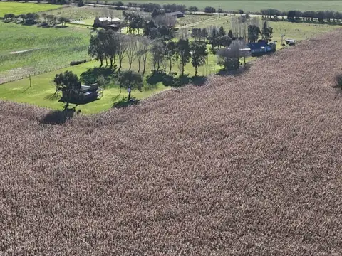Campo Mixto de 20 ha con 4 casas en General Madariaga, Provincia de Buenos Aires.
