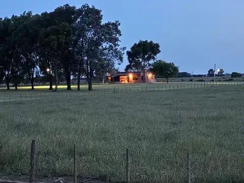 Campo de 20 ha con 4 casas en General Madariaga