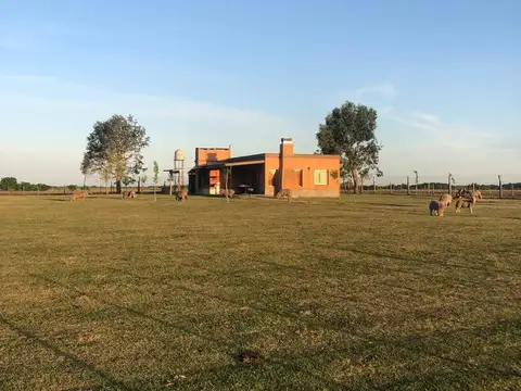 Campo de 20 ha con 4 casas en General Madariaga