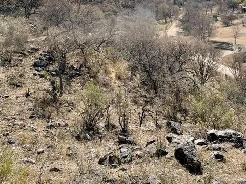 Terreno en Venta de 1100,0 m2