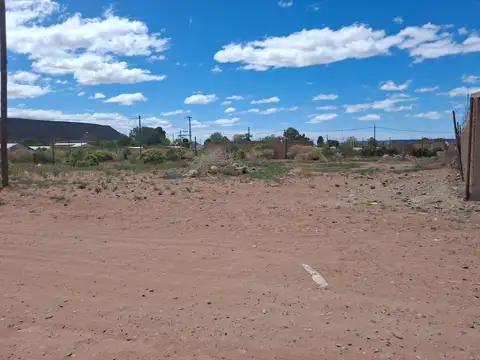 Terreno en Venta en Rincón de los Sauces, USD 52.000