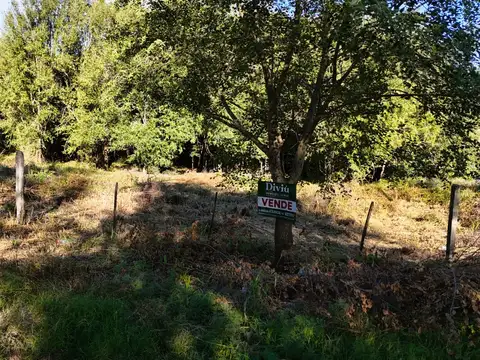 Terreno en Venta de 1335,0 m2