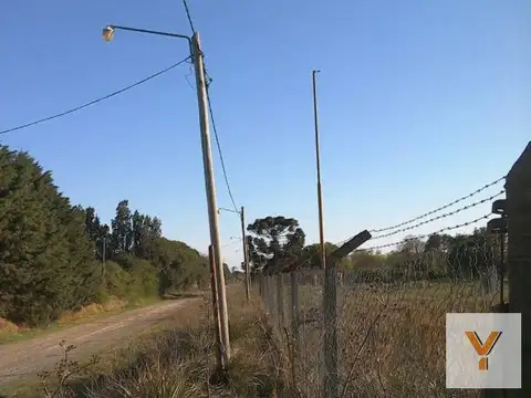 Campo venta - 71,2 x 224 Mts - 1,6Hectareas -  Pergamino