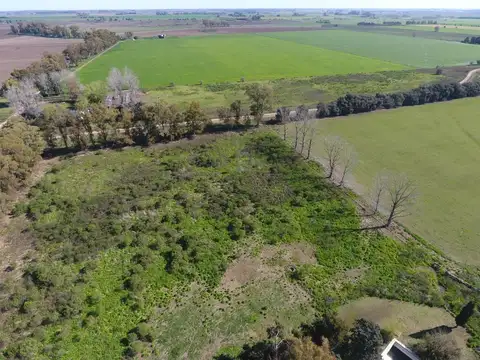 Terreno Campo  en Venta en Altos de Robles, Parada Robles, Exaltación de la Cruz