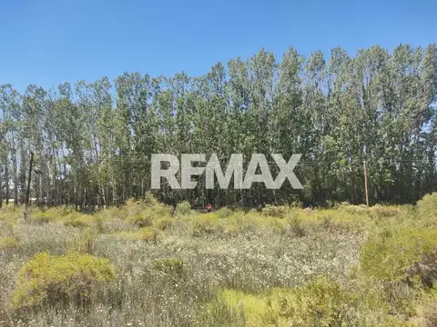 Terreno en Venta en Neuquen, USD 10.000