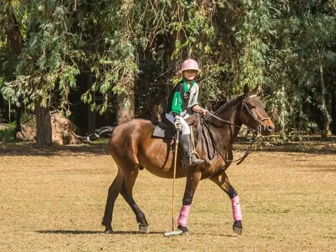 Terreno en Venta de 3006,0 m2