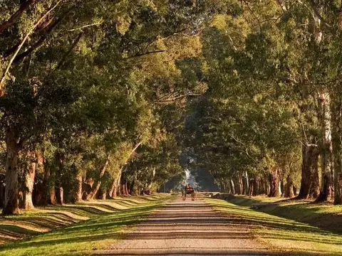 Lote de 3000 m2 en venta en Estancia Villa María. Ezeiza-Cañuelas.