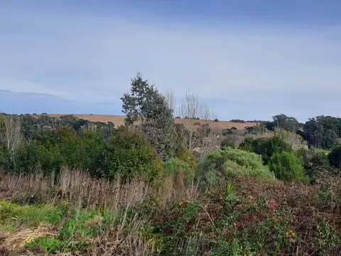 Terreno en Venta en Sierra De Los Padres, USD 48.000
